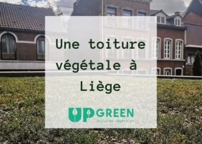 Une toiture végétale à Liège
