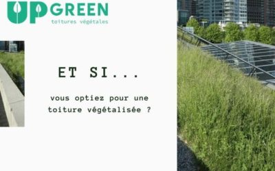 Et si… vous optiez pour une toiture végétalisée ? : guide pratique