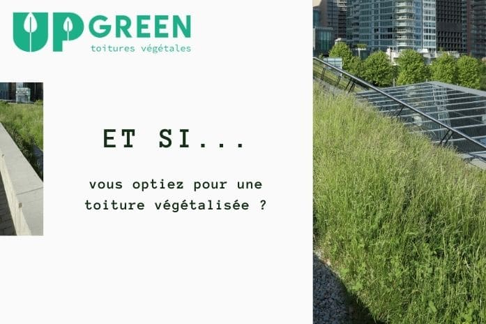 Et si… vous optiez pour une toiture végétalisée ? : guide pratique