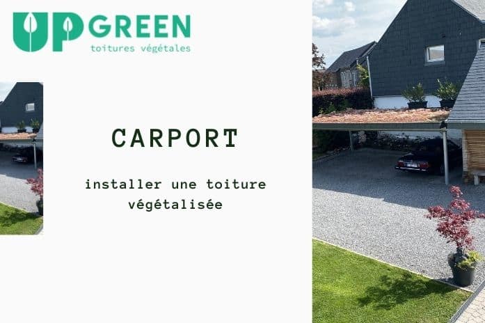 Installer une toiture végétale sur son carport