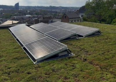 Toiture végétalisée à Liège, avec des panneaux photovoltaïques