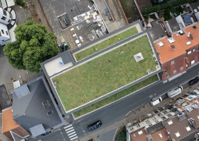 Exemple de toiture végétalisée
