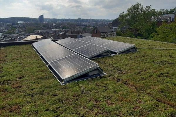 Panneaux photovoltaïques et toiture verte