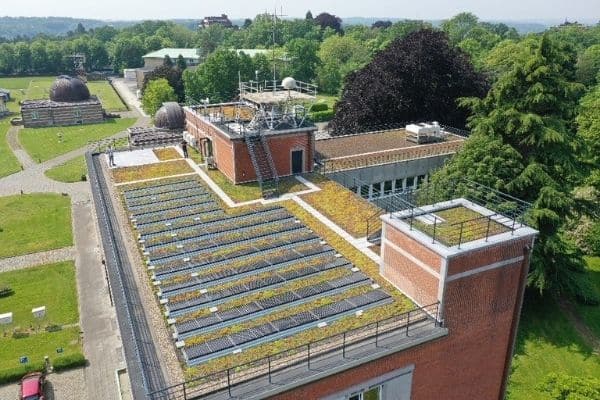 Panneaux solaires et toiture verte