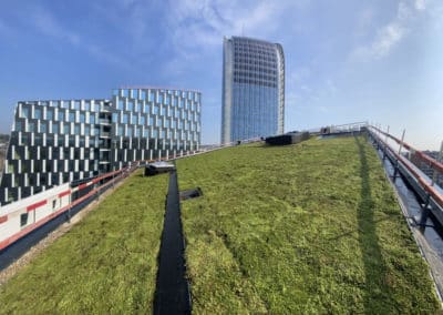 Une toiture verte à Liège-Guillemins