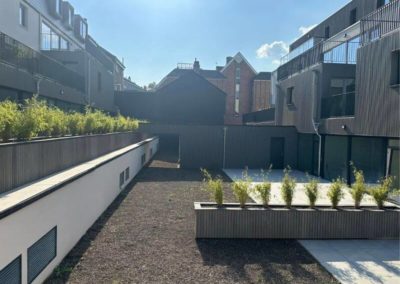 Placement de bac en bambou et toiture vert extensive à Eupen
