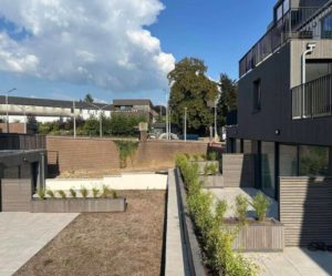 Placement de toiture végétale extensive à Eupen