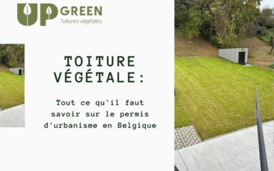 Toiture végétale : tout ce qu’il faut savoir sur le permis d’urbanisme en Belgique