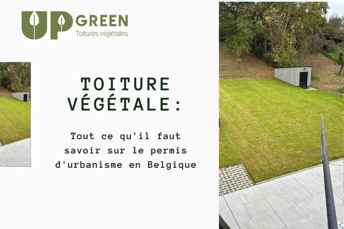 Toiture végétale : tout ce qu'il faut savoir sur le permis d'urbanisme en Belgique
