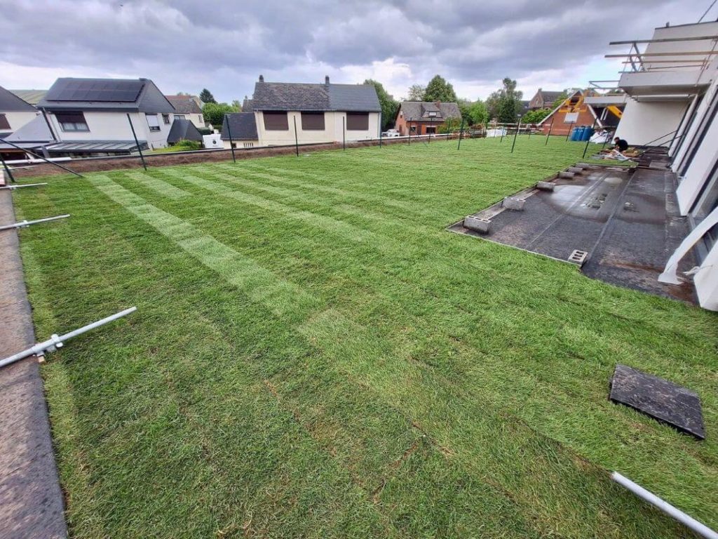 Rénovation avec toiture végétale