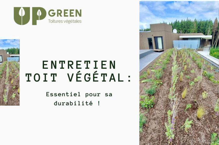 L'entretien de toit végétal est essentiel pour sa durabilité