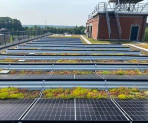 Végétalisation de toiture panneaux solaire