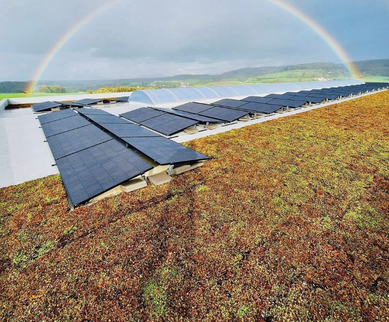 Placement de toiture verte extensive au Luxembourg