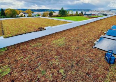 Pose de toiture extensive au Luxembourg