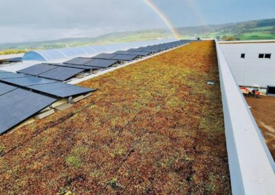 Réalisation de toit vert extensif au Luxembourg