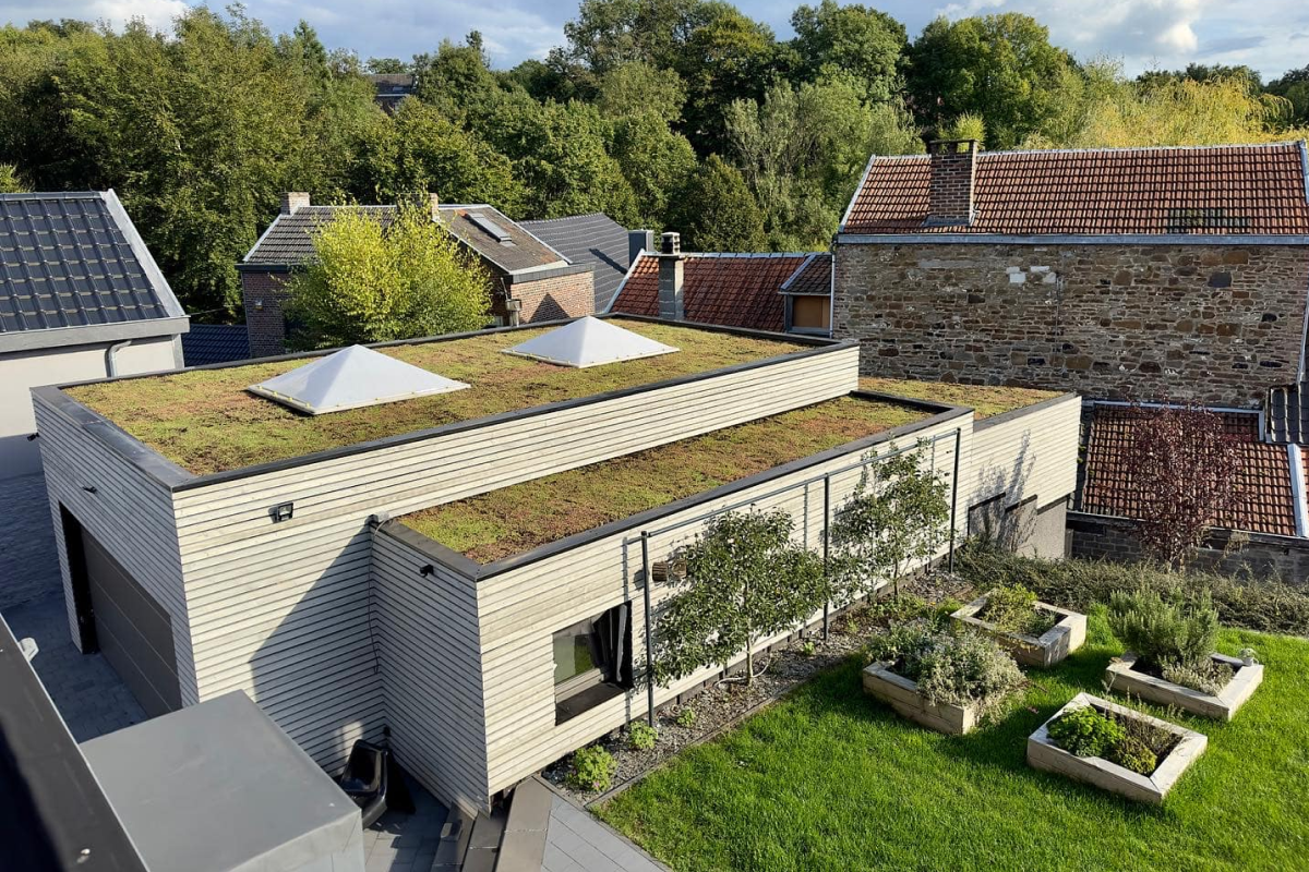 Toiture végétale moderne et aménagement de toit en sédum sur une maison contemporaine